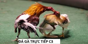 đá gà trực tiếp C3